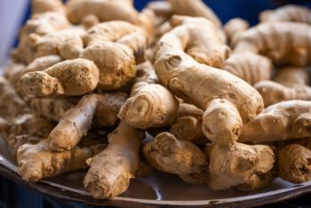 Ginger - Image 4