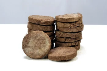 Dung Cakes