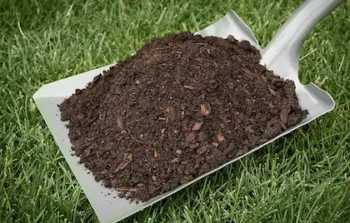 Dung Powder - Image 2